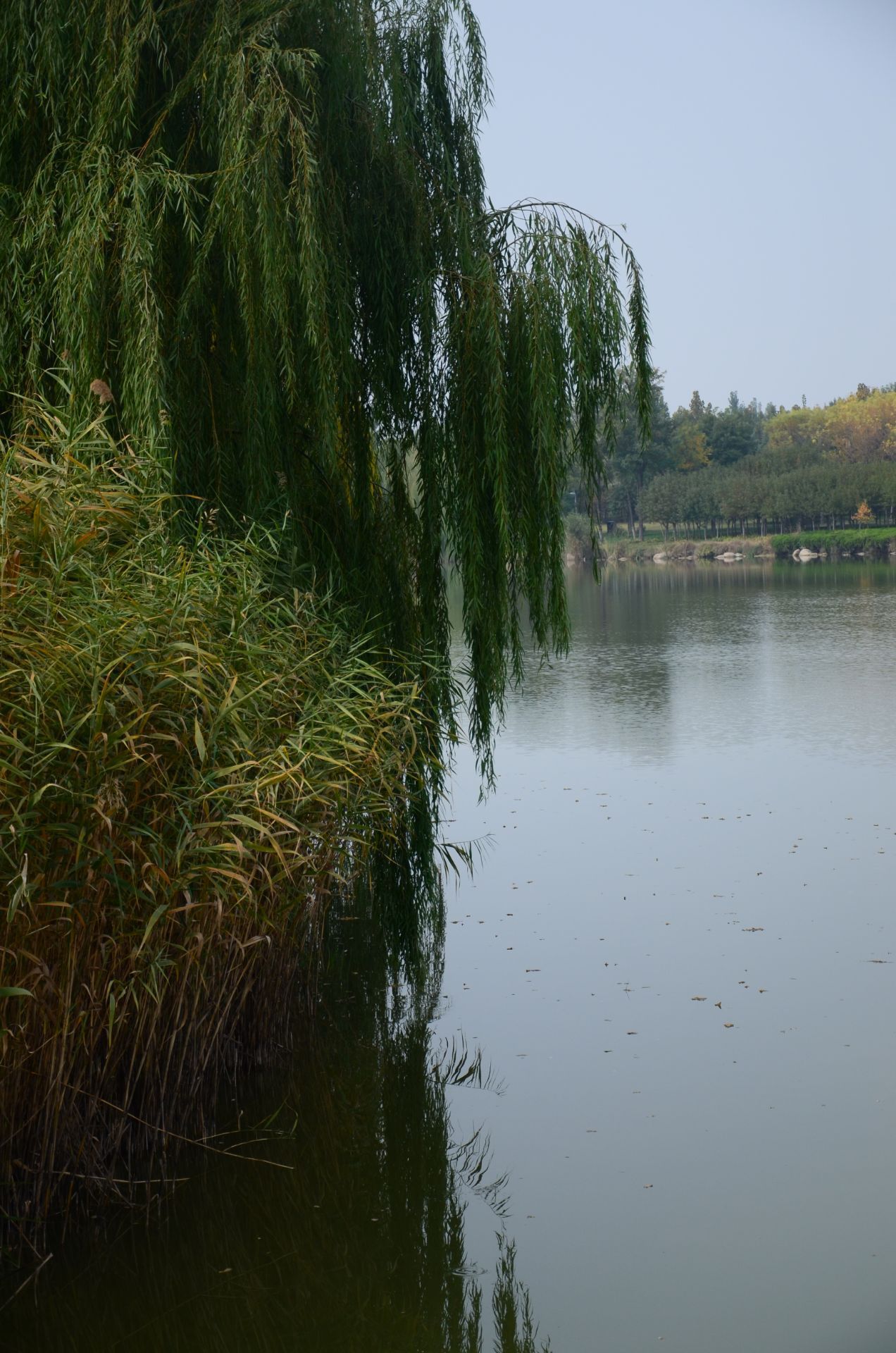 紅蓮湖公園