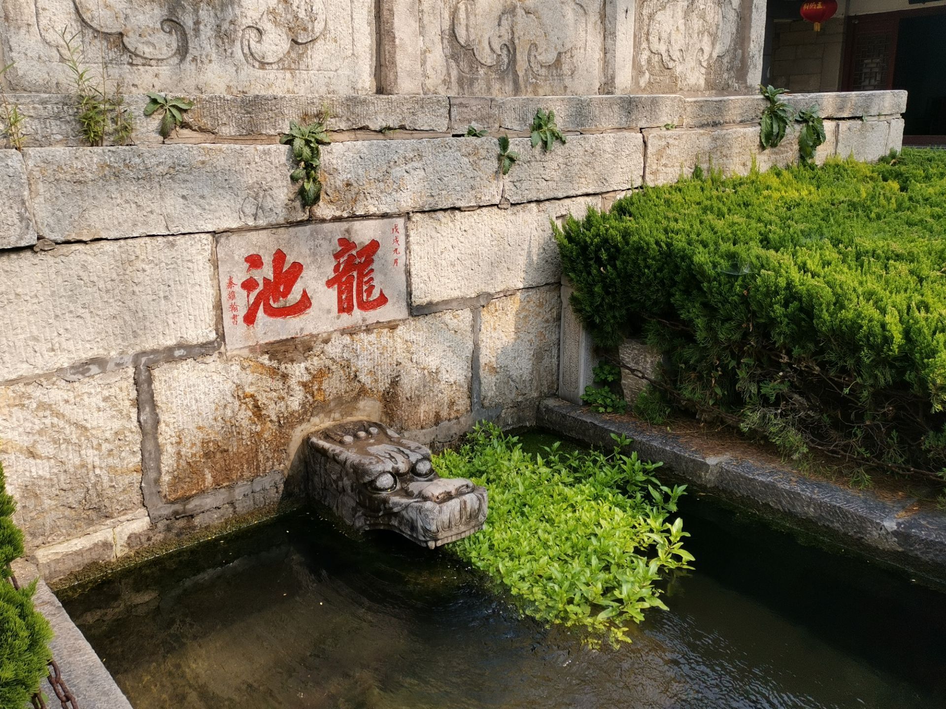 平阴洪范池旅游景点图片