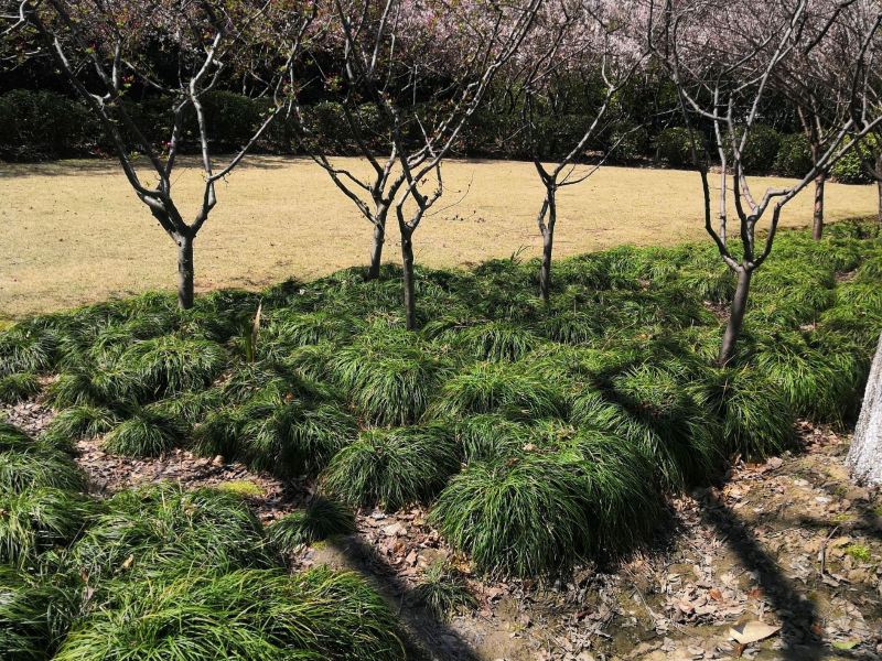 北京涌溪公园游玩攻略-涌溪公园门票多少钱/价格表-团购票价预定优惠