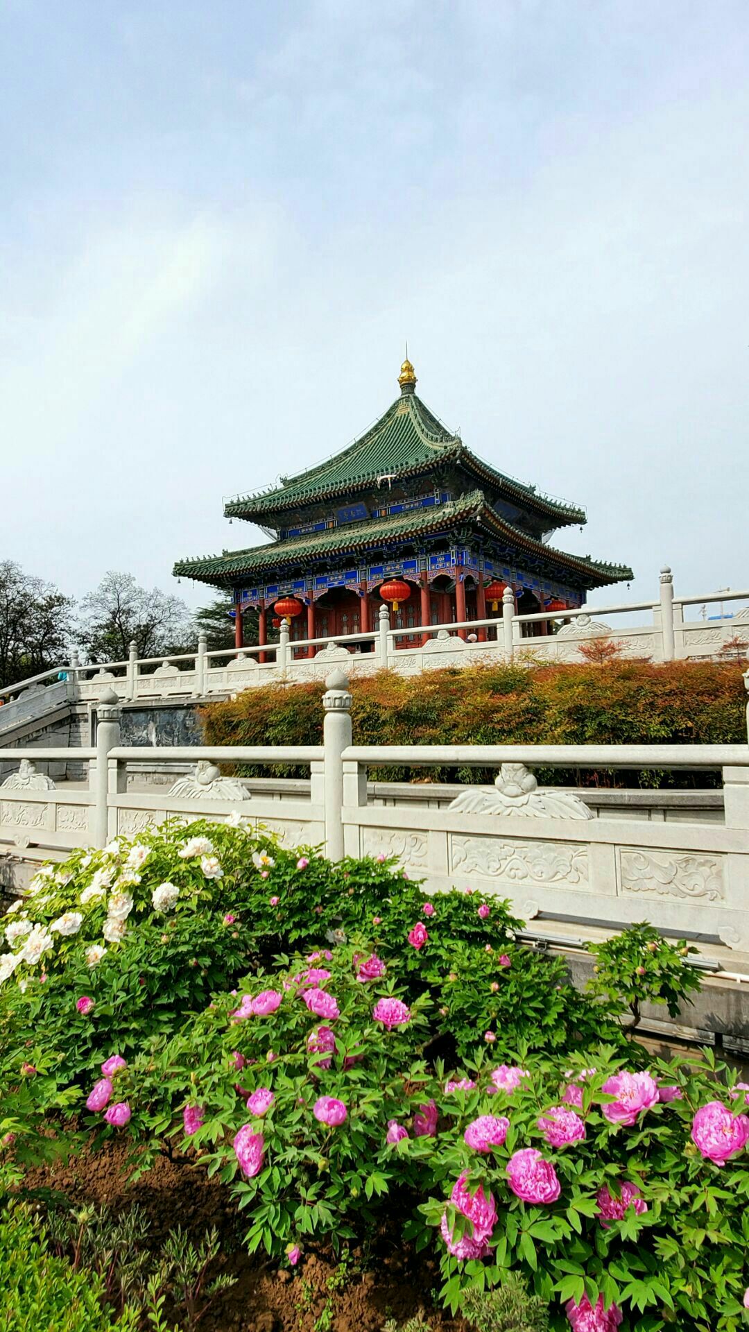 2019兴庆宫公园-旅游攻略-门票-地址-问答-游记点评，西安旅游旅游景点推荐-去哪儿攻略