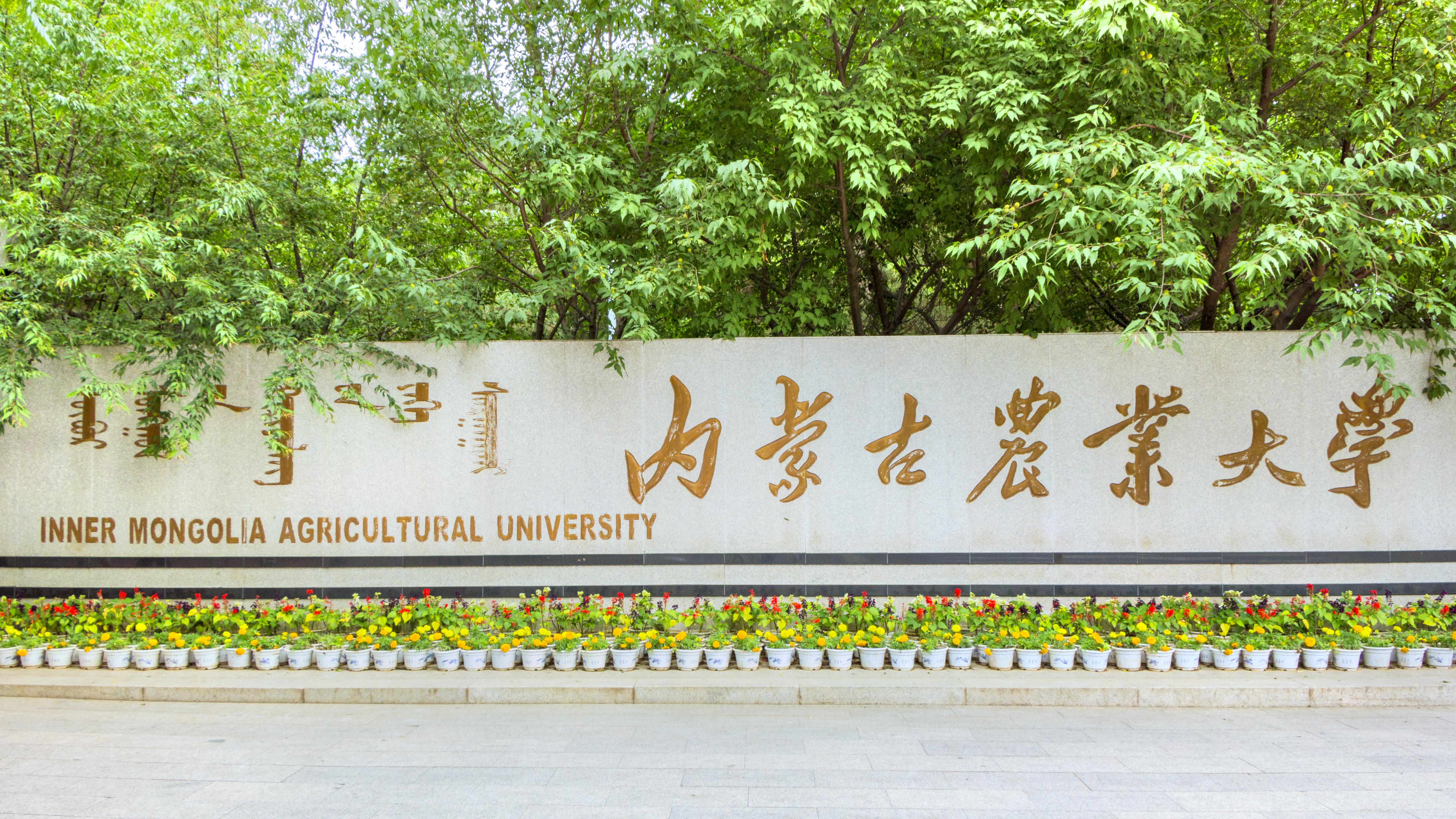 内蒙古师范大学校门图片