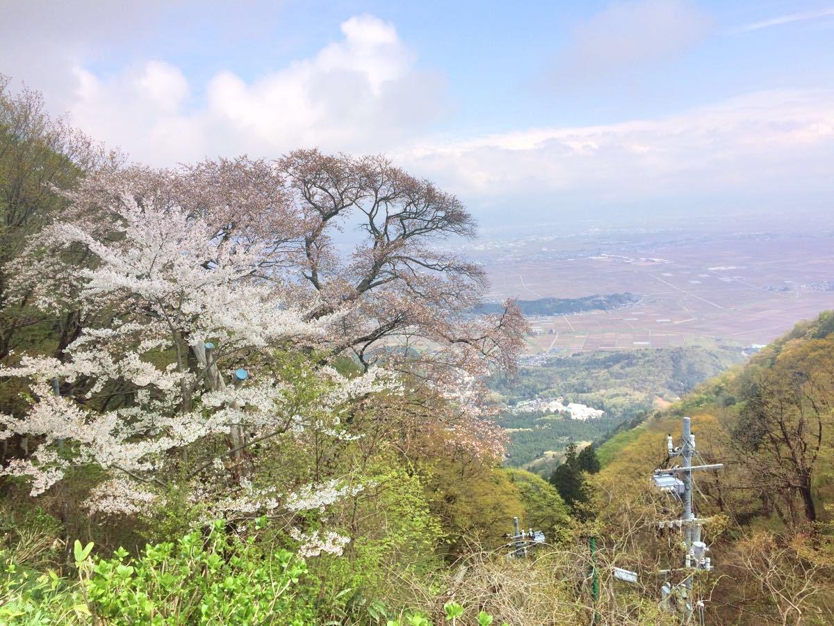 新潟县弥彦山攻略 弥彦山门票价格多少钱 团购票价预定优惠 景点地址图片 携程攻略