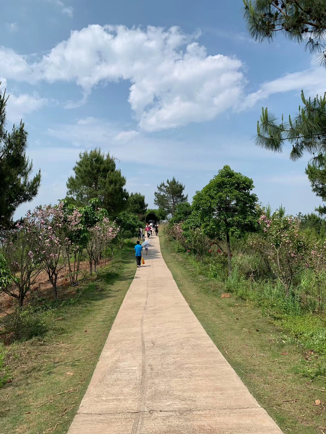 【携程攻略】南雄香草世界森林公园景点,溜娃好去处,近两年这里增设了