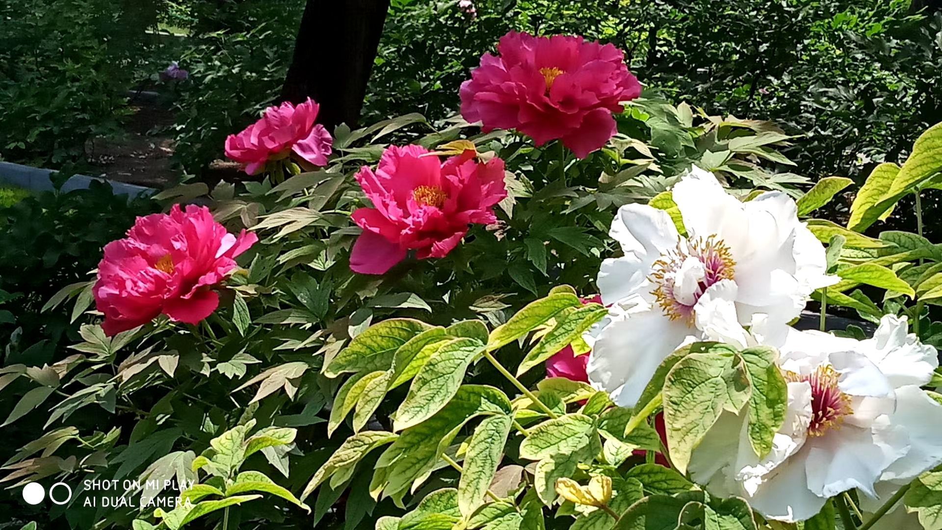 北京中山公園好玩嗎,北京中山公園景點怎麼樣_點評_評價【攜程攻略】