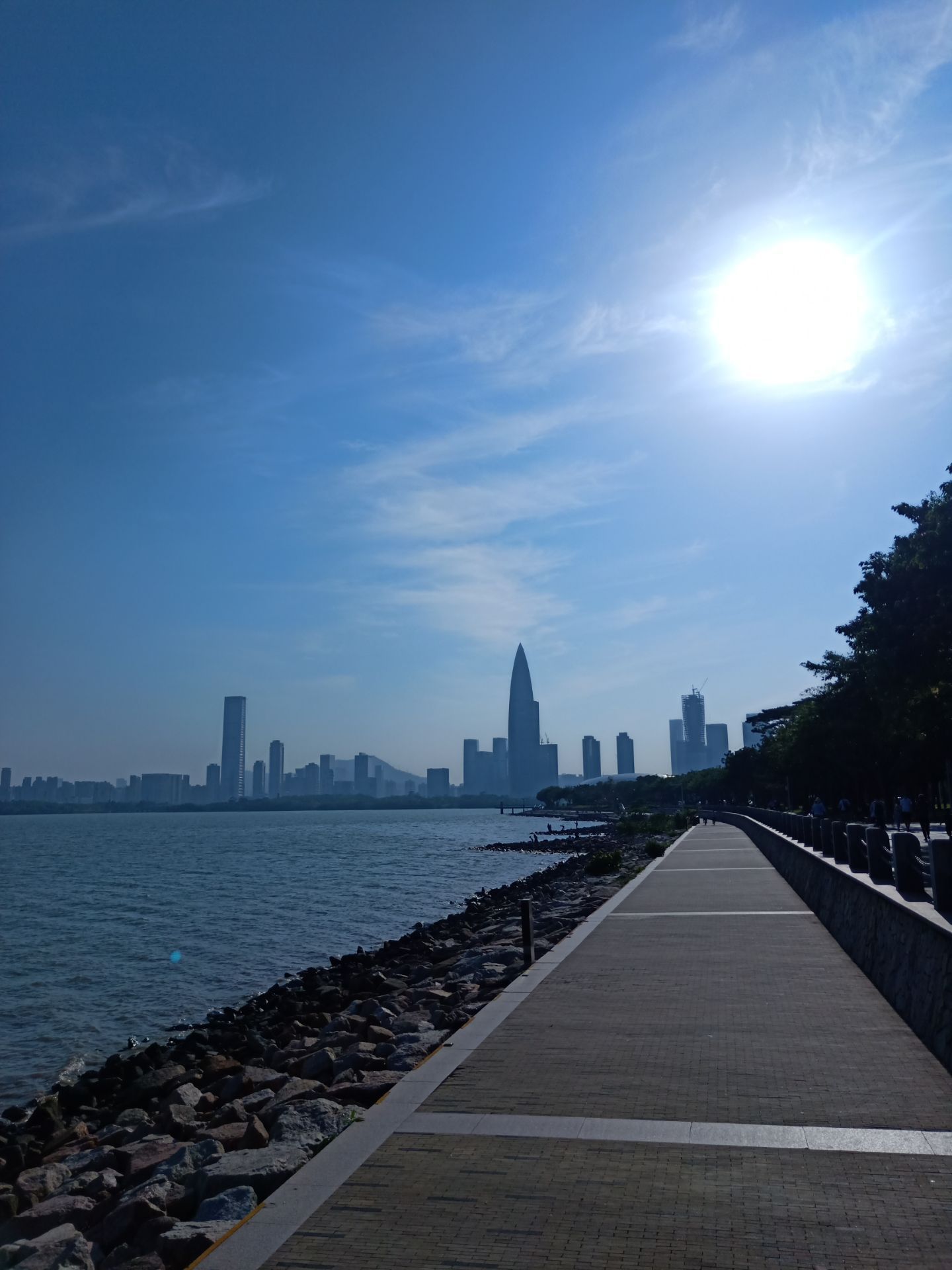 2024深圳湾公园游玩攻略,深圳湾非常棒的公园,跑步健 【去哪儿攻略】