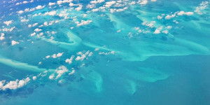 巴哈马游记图文-那些行走在路上的时光—在巴哈马醉人的海浪里参观会游泳的猪