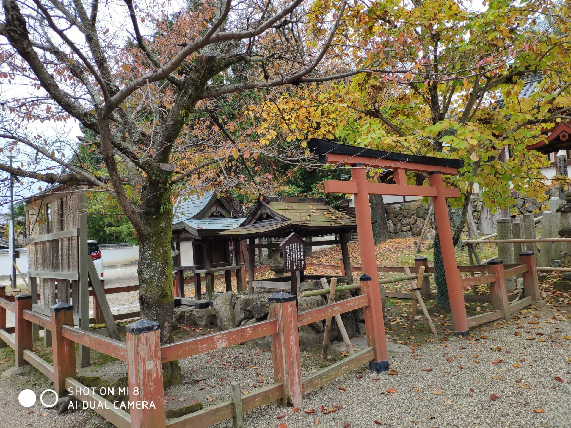 冰室神社图片