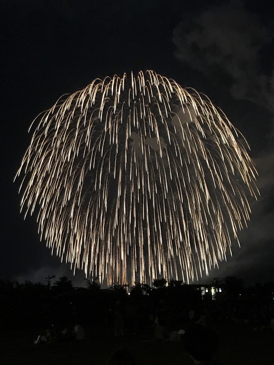 2023長岡祭大花火大會玩樂攻略,規模大很壯觀!看了你肯定會.