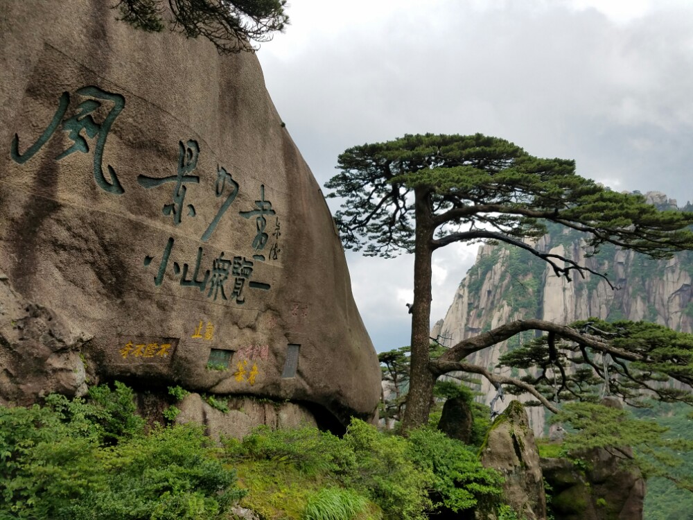 【攜程攻略】黃山風景區迎客松景點,一覽眾山小,值得一遊!有機會還去.