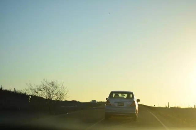 下加利福尼亚州 | 广西鲸鲨被杀,这里你可以和十