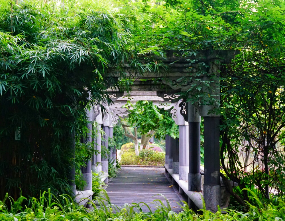 西南大学旅游景点攻略图