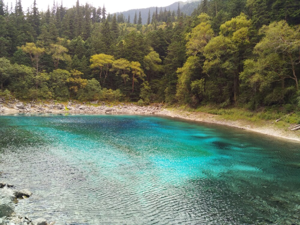 2019五彩池_旅遊攻略_門票_地址_遊記點評,九寨溝旅遊景點推薦 - 去