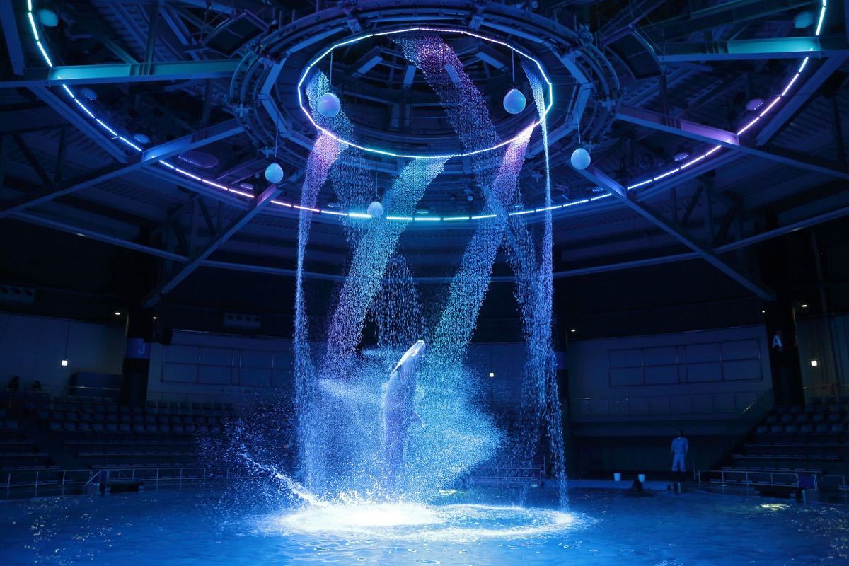 2021麦克赛尔 品川王子大饭店水族馆游玩攻略,灯光与水幕的完美结合