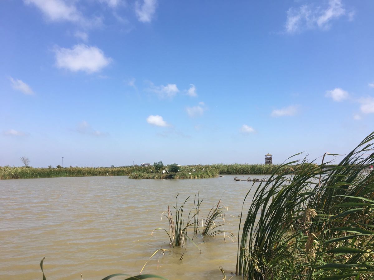 鹽城丹頂鶴溼地生態旅遊區旅遊景點攻略圖