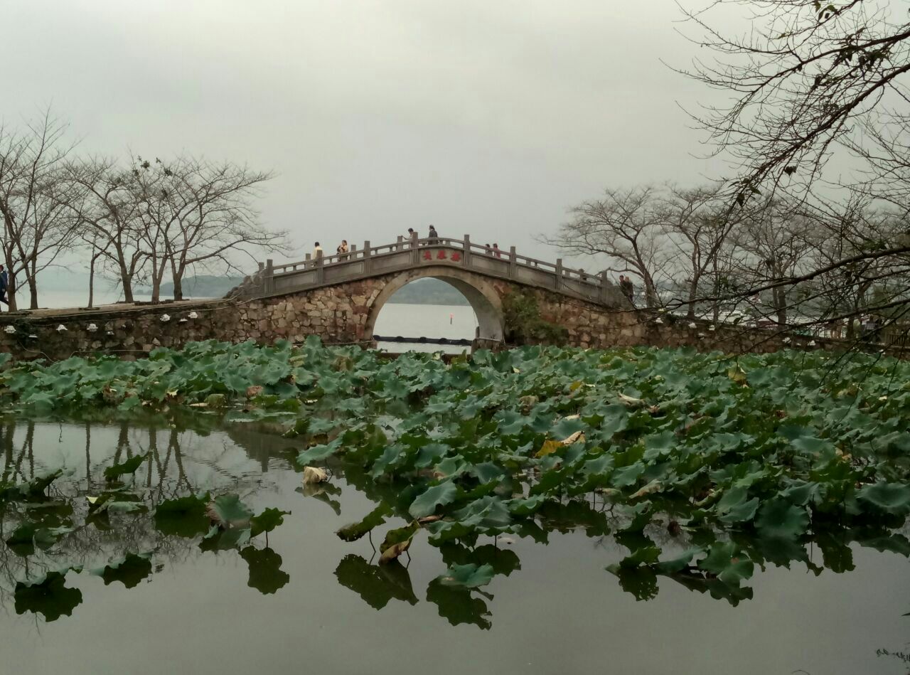 【携程攻略】无锡鼋头渚景点,凭门票可以坐景区内公交车,然后可以