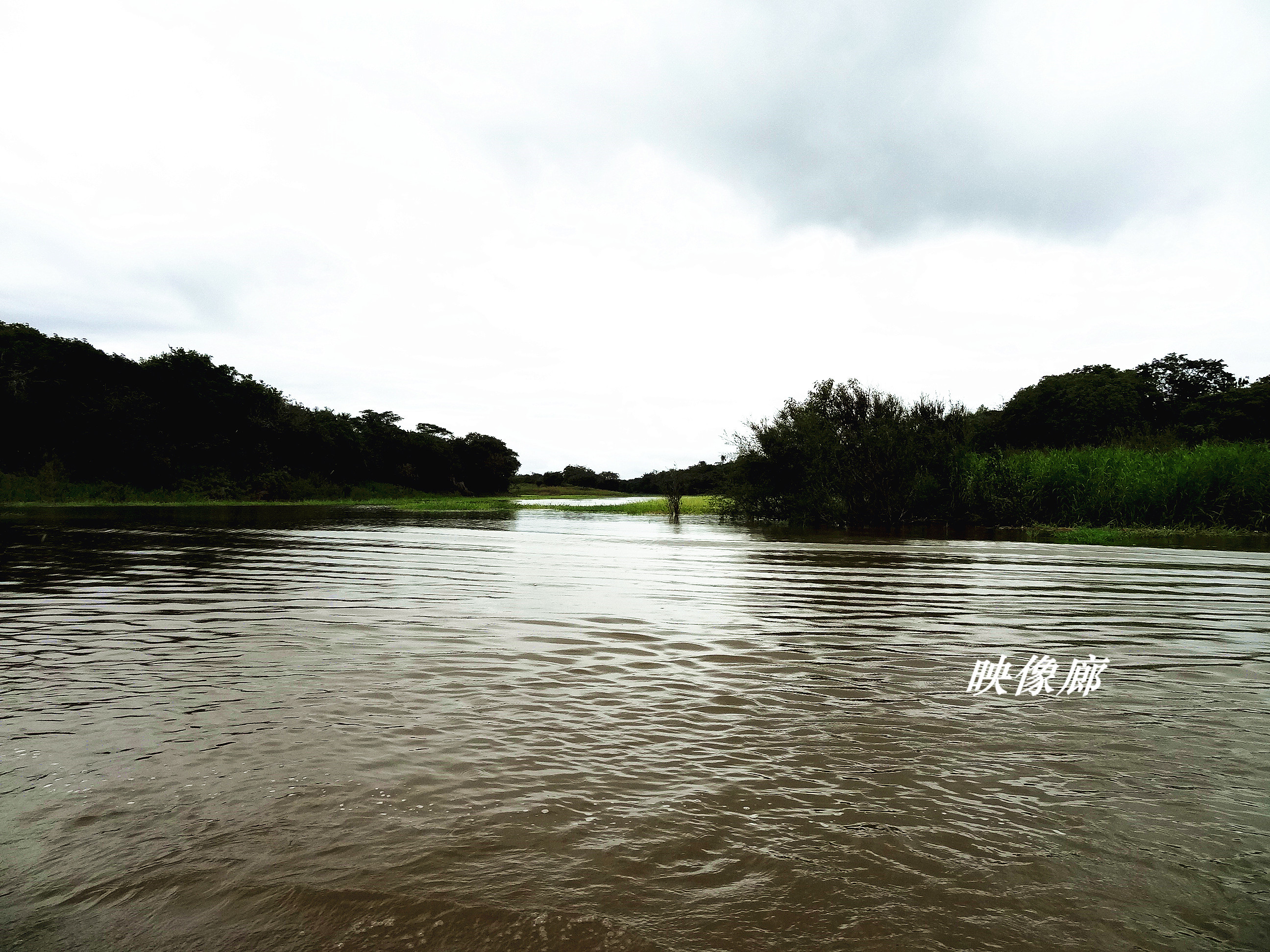 亚马孙河河口图片