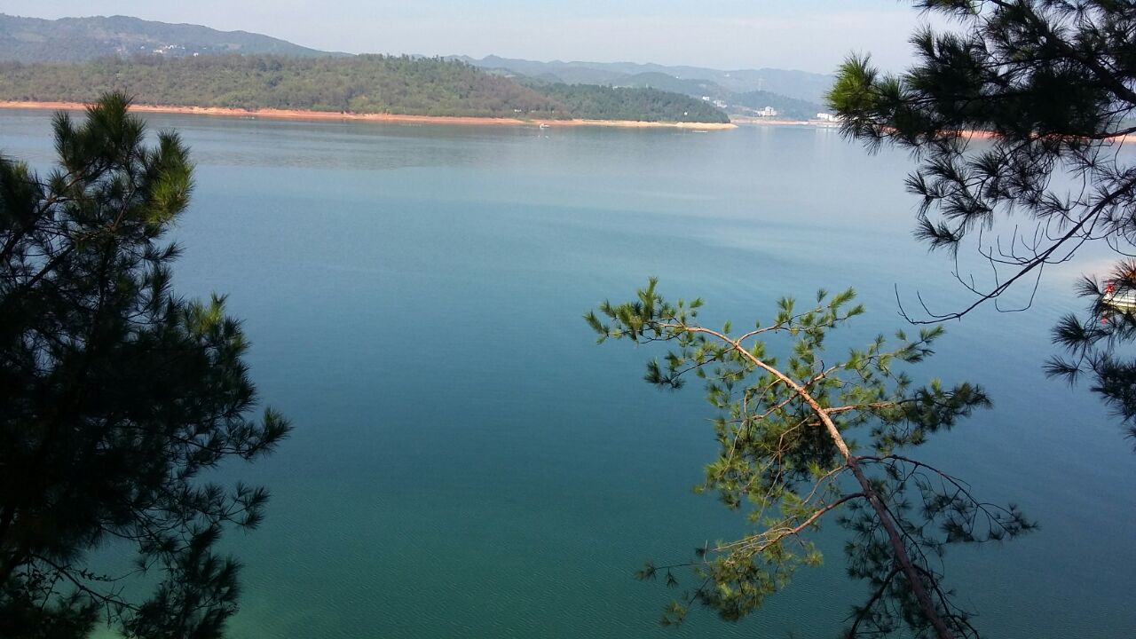 东江湖凤凰岛景区