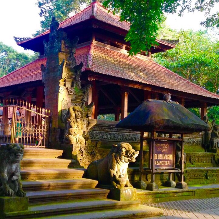 巴厘岛圣猴森林街好玩吗,巴厘岛圣猴森林街景点怎么样_点评_评价