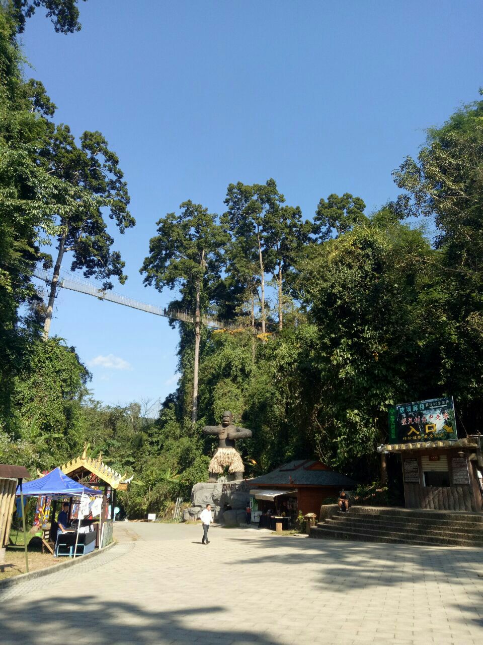 西双版纳热带雨林国家公园望天树景区