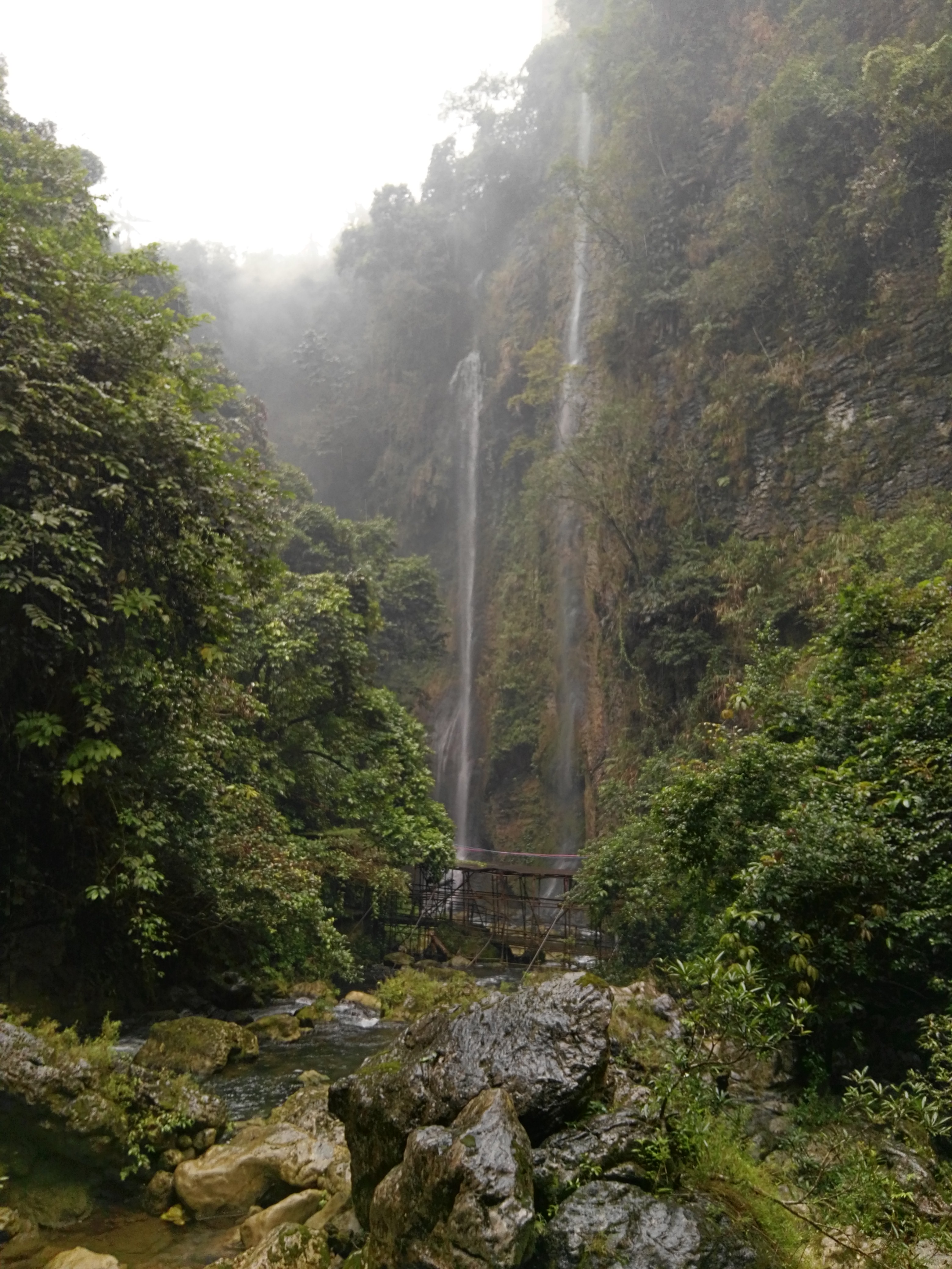 靖西古龍山大峽谷攻略,靖西古龍山大峽谷門票/遊玩攻略/地址/圖片/門