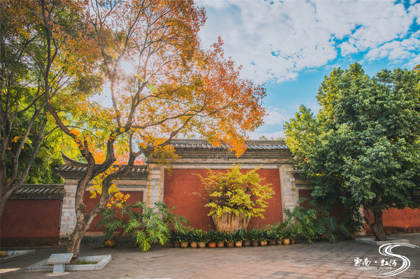 【云南】欢喜红河,与哈尼族人民载歌载舞