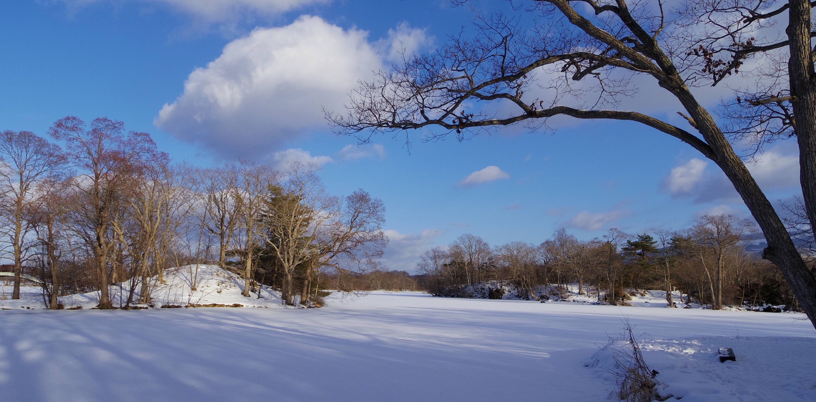 【携程攻略】函馆大沼国定公园景点,大雪天去的 大沼国定公园 冬季人
