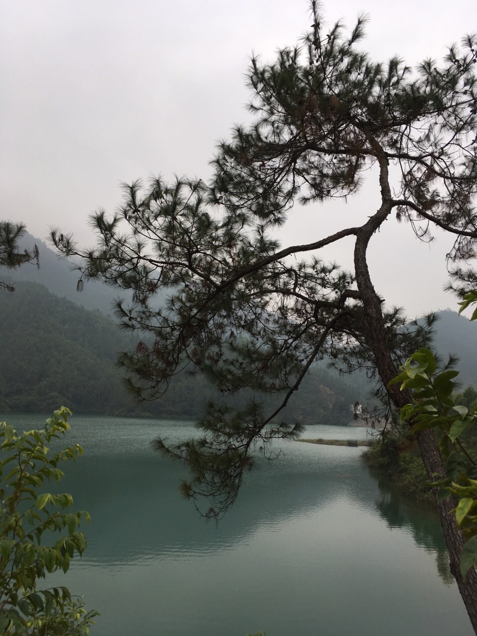 台山的北峰山森林公園位於四九鎮,公園內有多個水庫