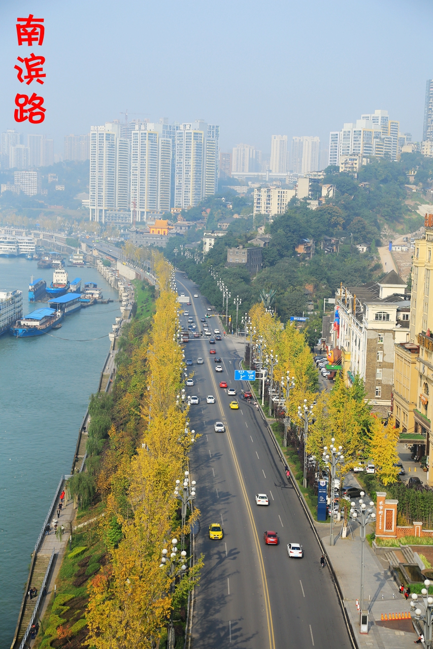 重庆南滨路最美的一段图片