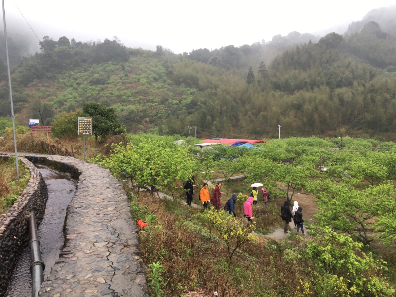 广州市从化区的溪头村,过去是出了名的贫困村,经过政府的多年扶贫
