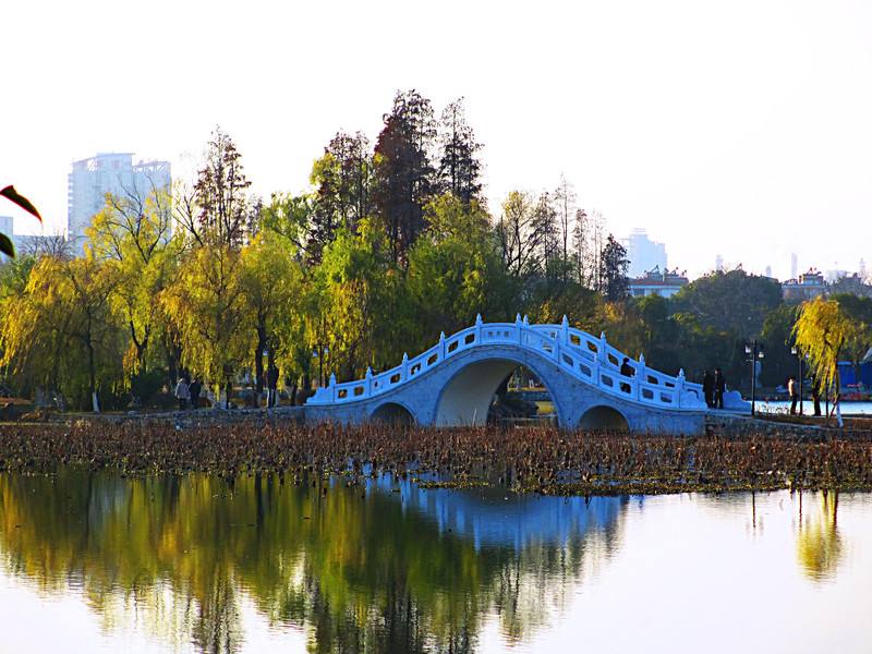 【携程攻略】安庆菱湖风景区景点,菱湖风景区位于安徽省安庆市城市