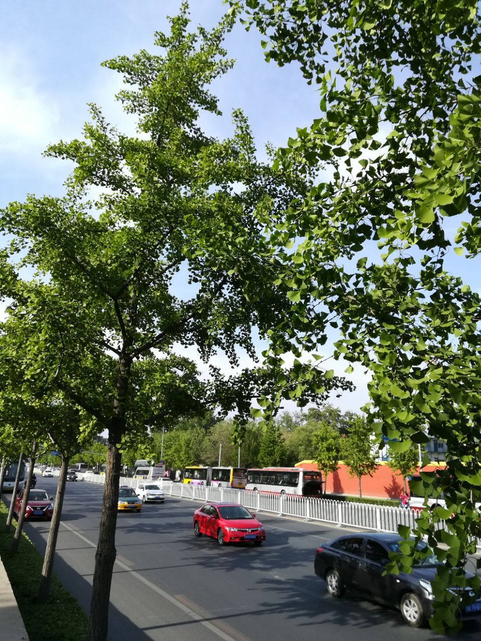 2022北京大学医学部中心花园游玩攻略,北京大学东北门旁边,花园不大.