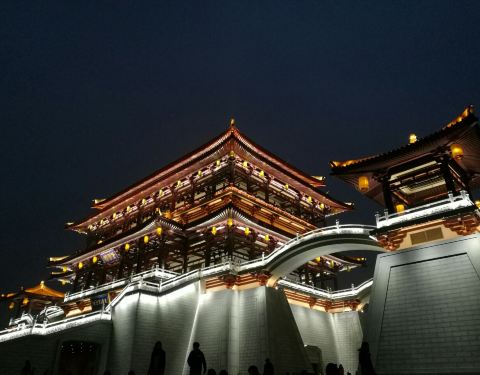 10090h0000008zbvfAAED_C_480_375.jpg