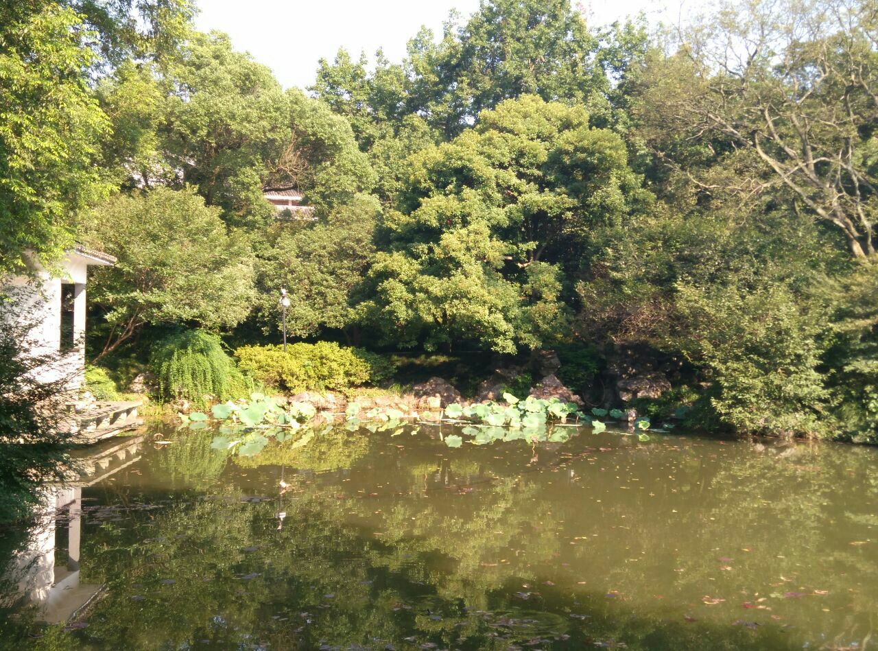 杭州植物園旅遊景點攻略圖