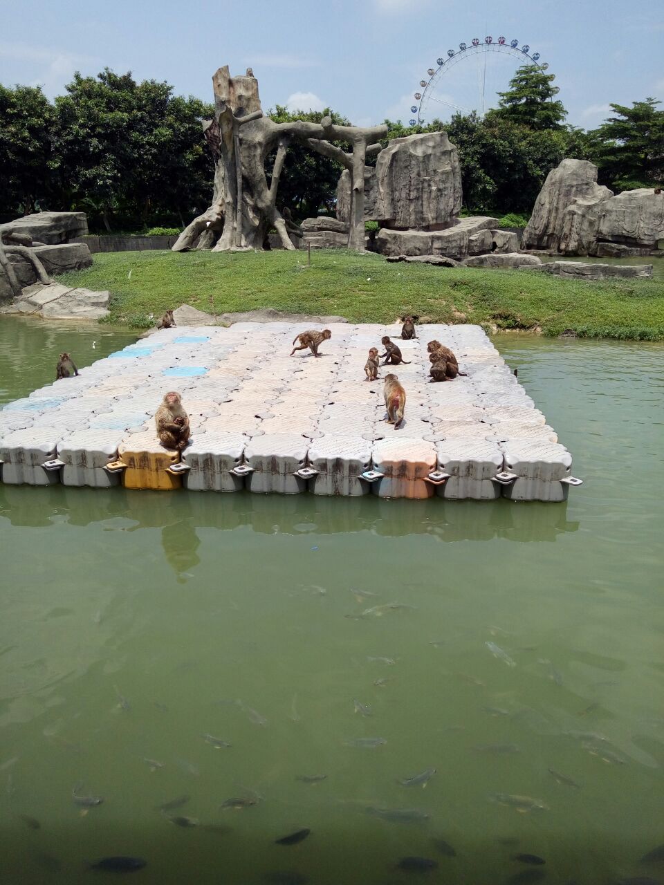 2019香市動物園-旅遊攻略-門票-地址-問答-遊記點評,東莞旅遊旅遊景點