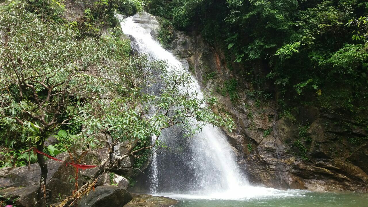 很好很涼爽非常值得一玩去天龍頂國家山地公園過週末