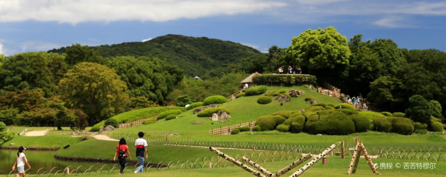 7 天 | 含名古屋, 伊賀市, 伊勢市, 三重縣, 尾鷲市, 奈良, 神戶