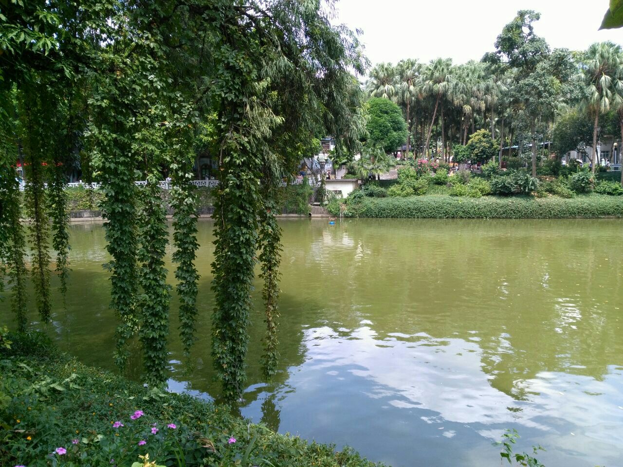 南寧南寧人民公園好玩嗎,南寧南寧人民公園景點怎麼樣_點評_評價