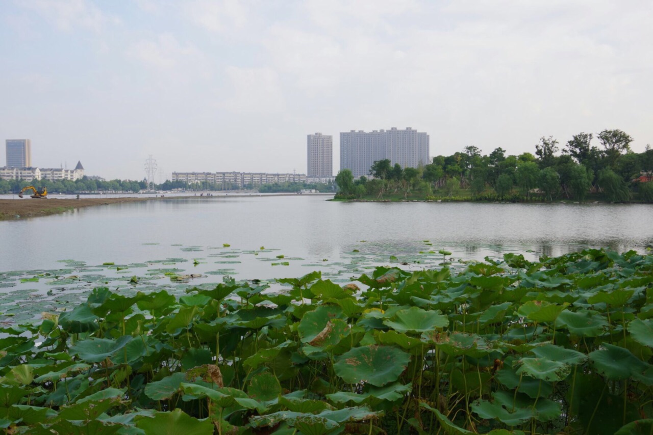 紹興迪蕩湖公園好玩嗎,紹興迪蕩湖公園景點怎麼樣_點評_評價【攜程