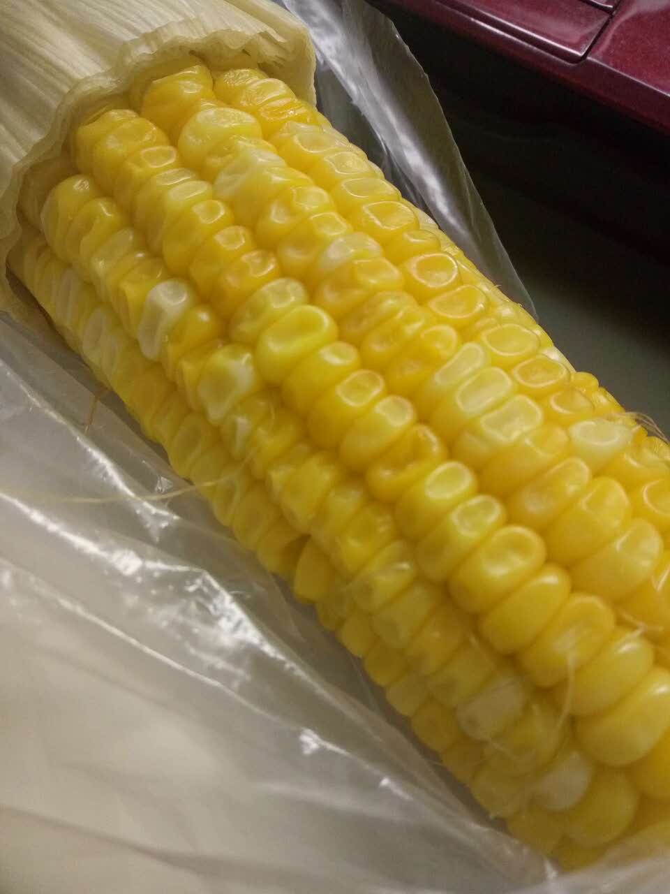 买早饭,买的玉米都是冷的,而且玉米干瘪干瘪的,一看就是昨天没卖完的.