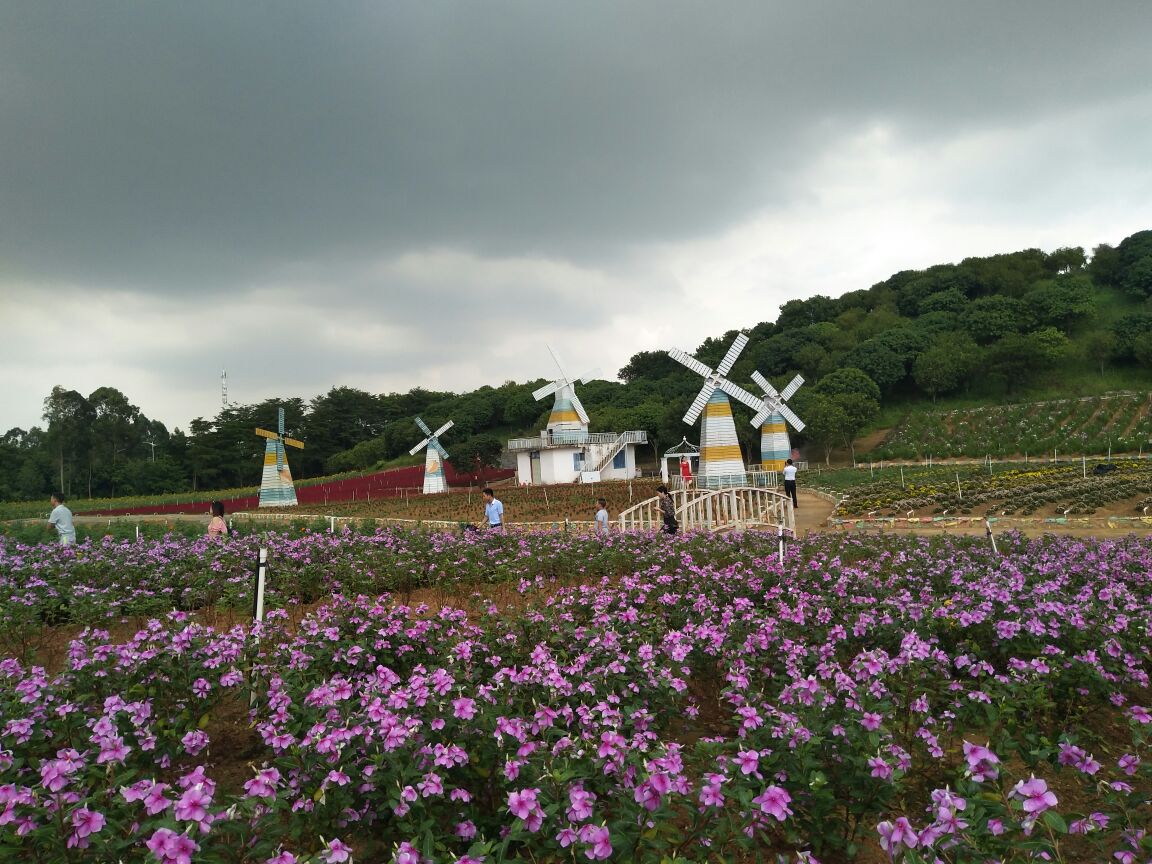 東莞夢幻百花洲好玩嗎,東莞夢幻百花洲景點怎麼樣_點評_評價【攜程