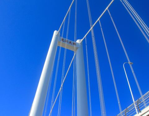 10090n000000e4ch7A525_C_480_375.jpg