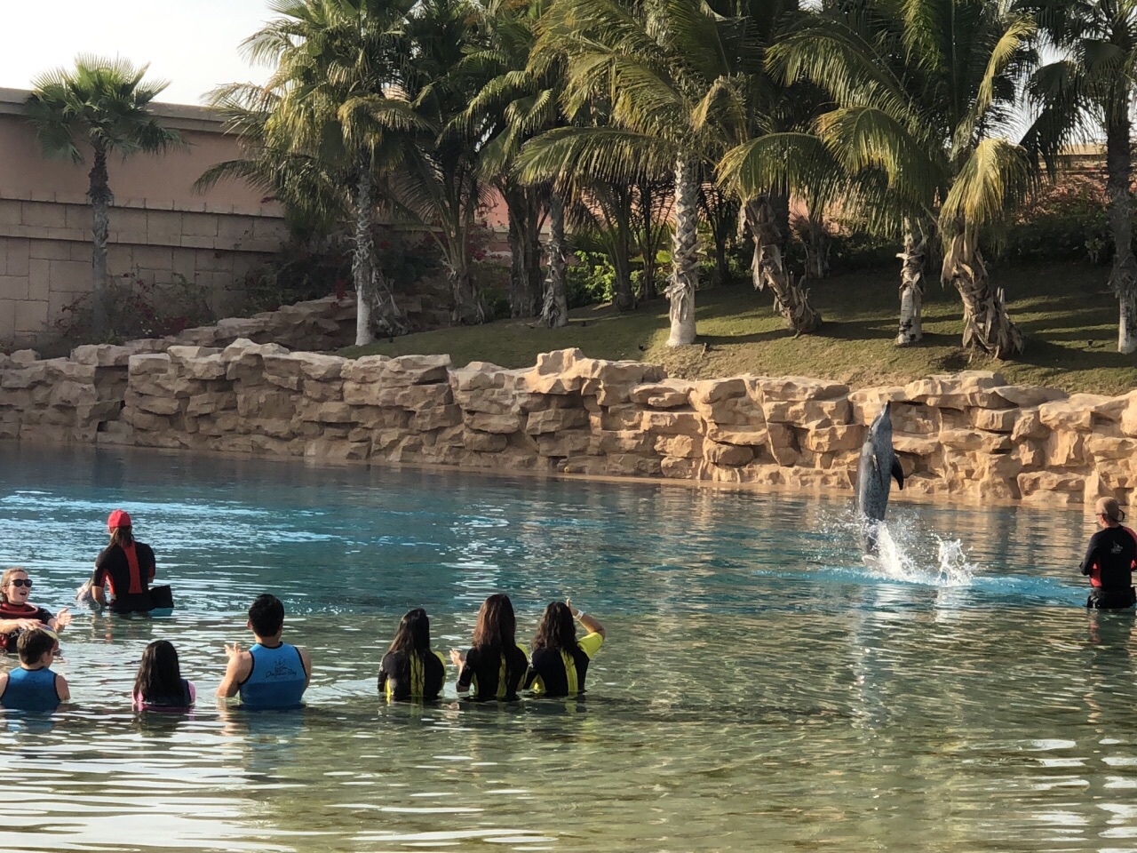 2022迪拜亚特兰蒂斯海豚湾游玩攻略,能与海豚亲密接触的地方,很