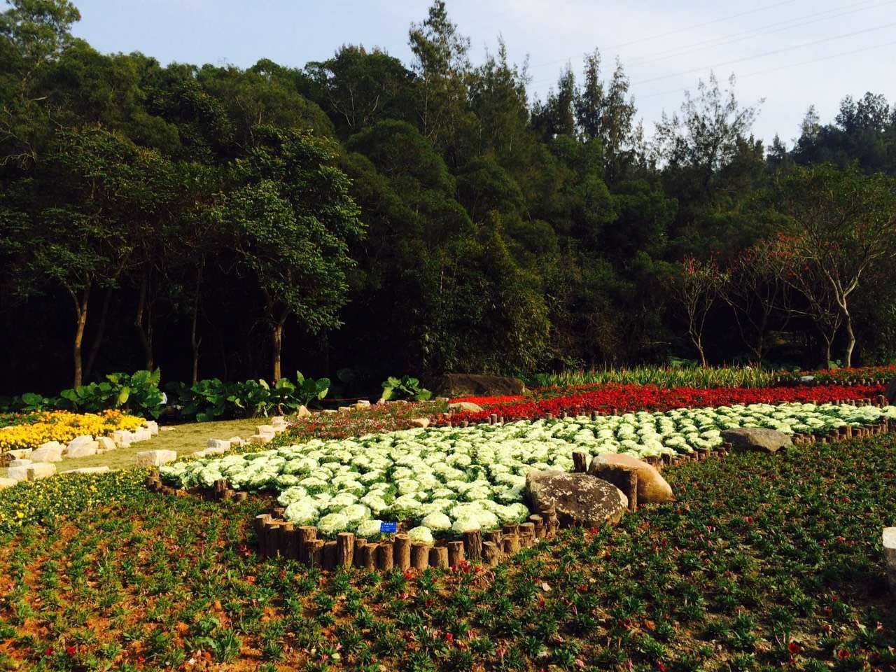 2019廈門園林植物園-旅遊攻略-門票-地址-問答-遊記點評,廈門旅遊旅遊