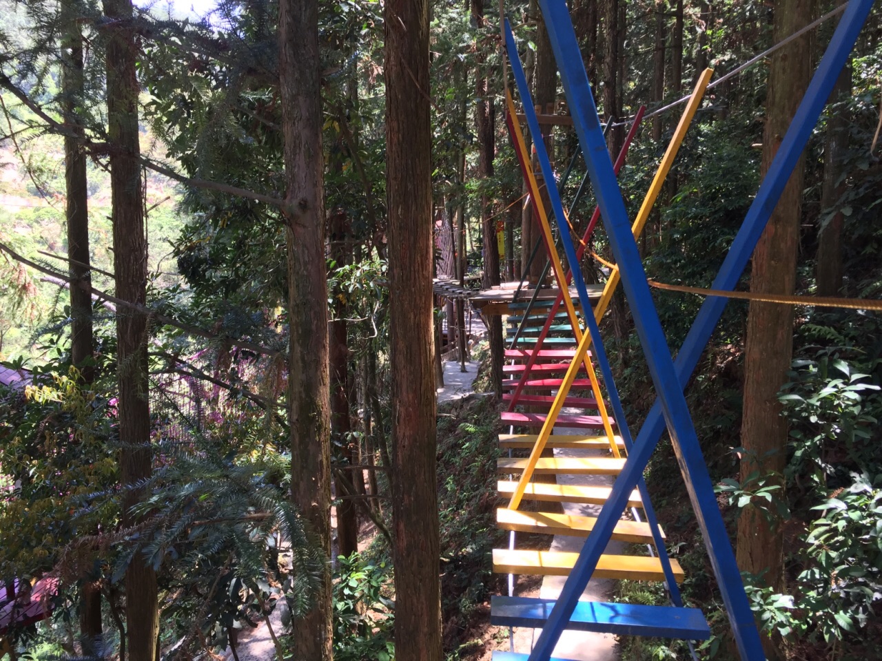 石龙谷森林游乐园