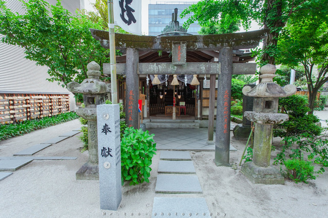 日本 让春日在烈阳下优美燃尽 携程氢气球