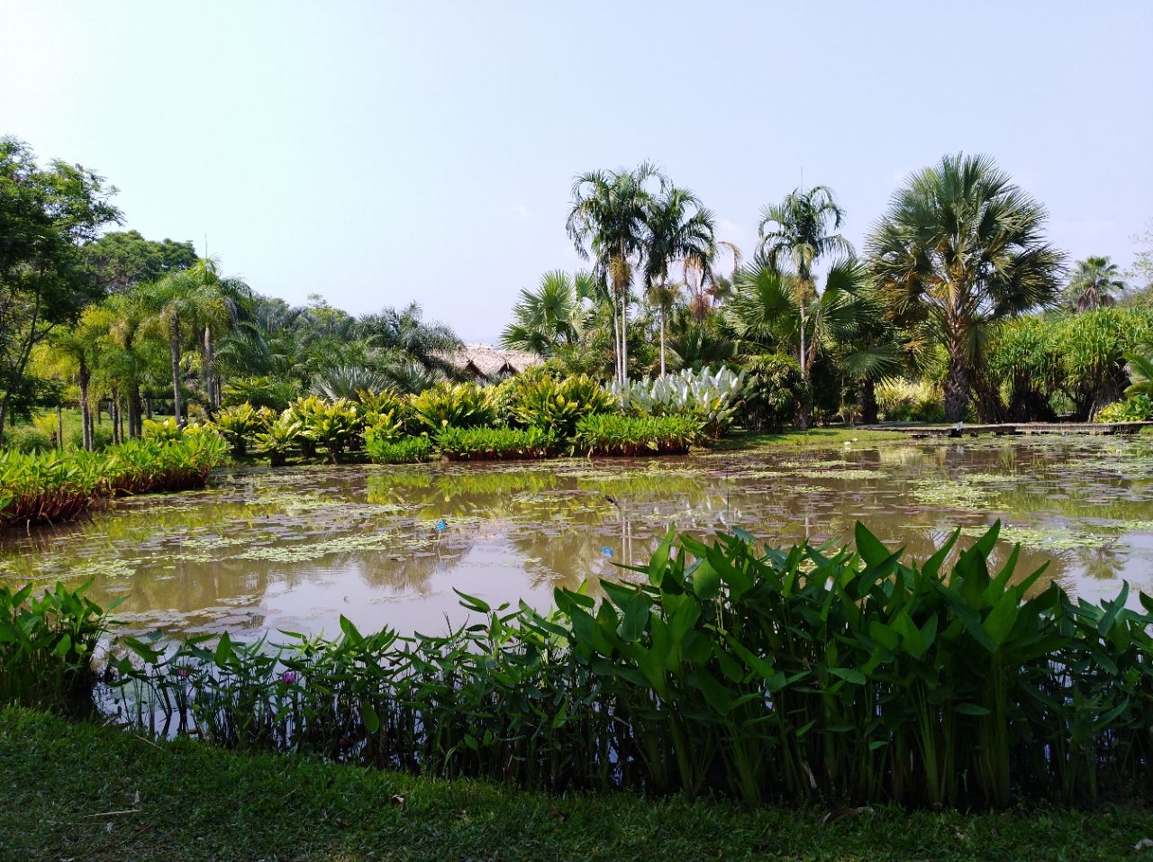 中科院西双版纳热带植物园