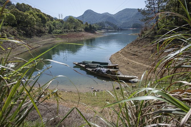 千島湖開元度假村 森林氧吧 大魚頭晚餐,2天1晚帶娃自駕短途旅行