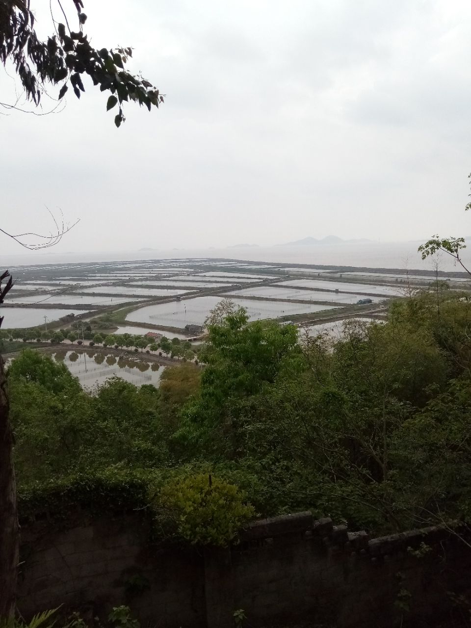 蛇蟠島