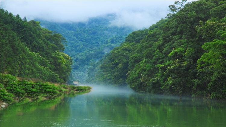 九龙江国家森林公园