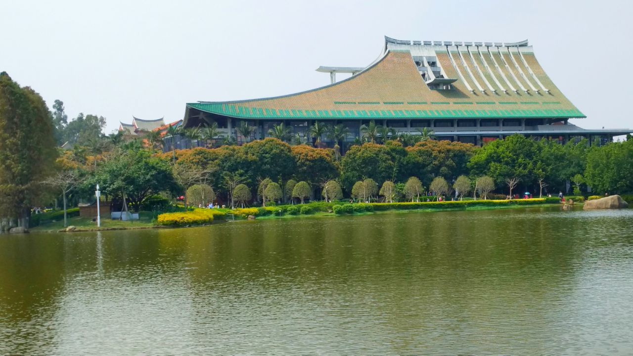 厦门大学最美的就是芙蓉湖面那道"倩影"——黑天鹅